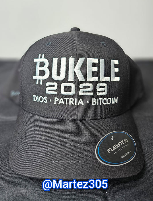 Bukele 2029